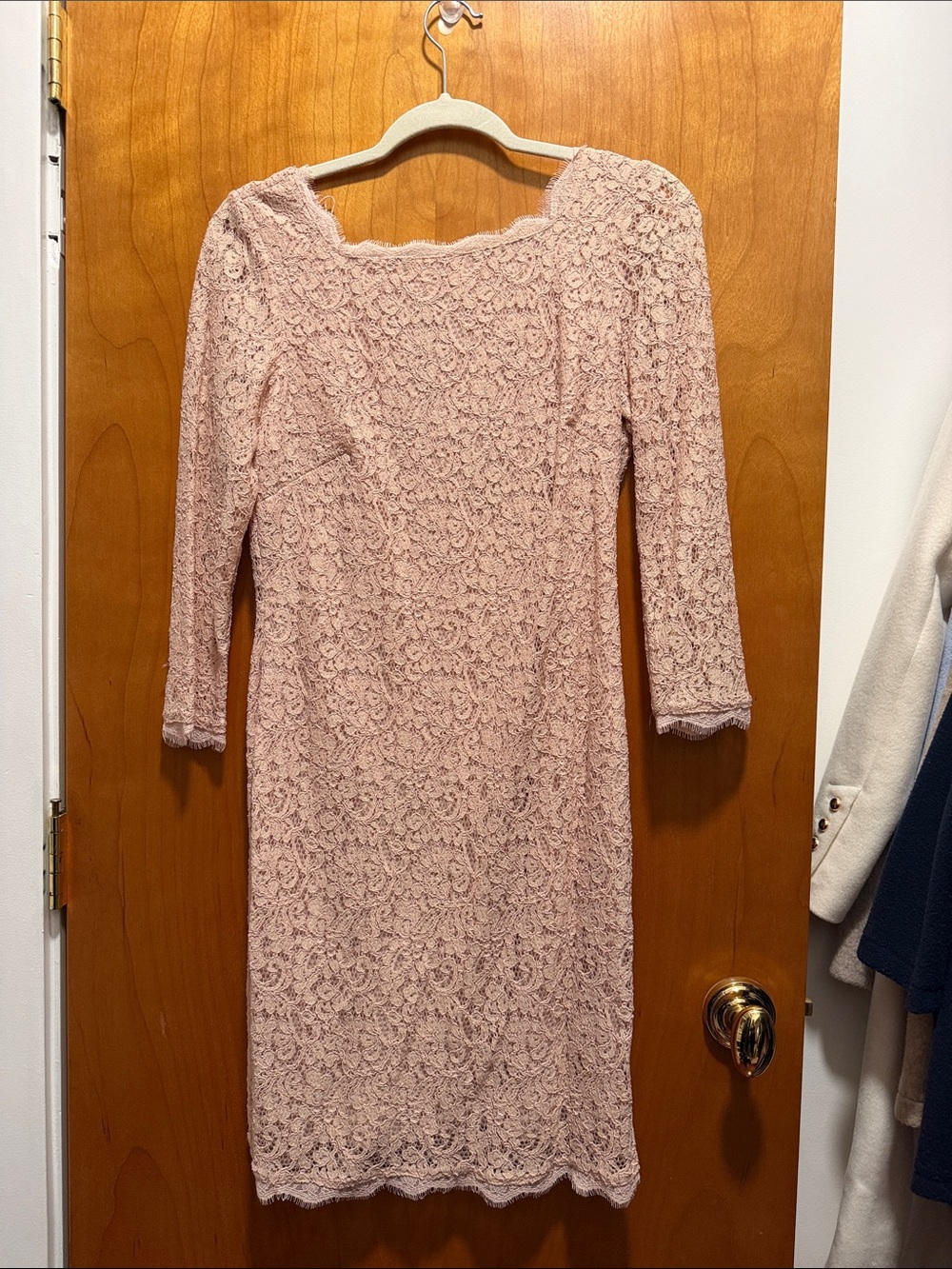 Adrianna Papell Pink Lace Midi Dress